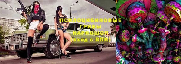 крисы Пестово